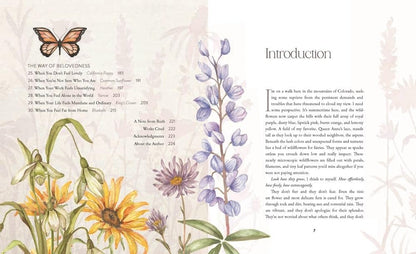 The Way of the Wildflower: Gospel Meditations to Unburden Your Anxious Soul - The Christian Gift Company