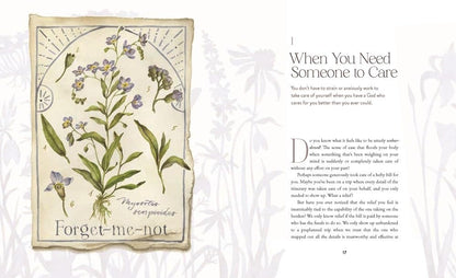 The Way of the Wildflower: Gospel Meditations to Unburden Your Anxious Soul - The Christian Gift Company