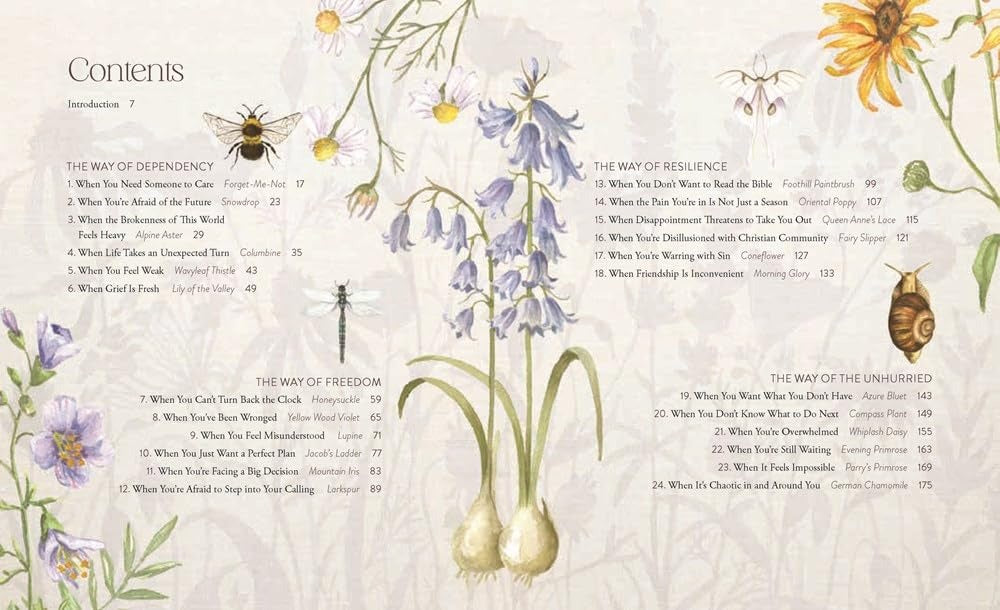 The Way of the Wildflower: Gospel Meditations to Unburden Your Anxious Soul - The Christian Gift Company