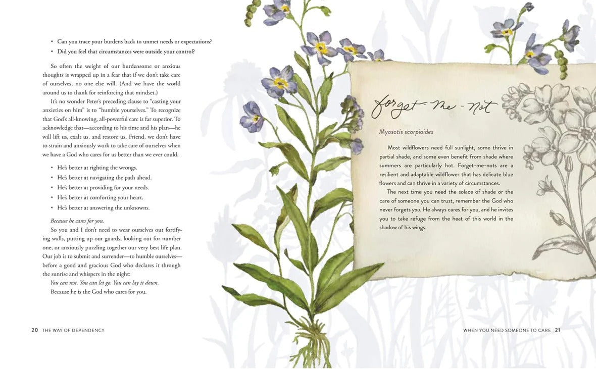 The Way of the Wildflower: Gospel Meditations to Unburden Your Anxious Soul - The Christian Gift Company