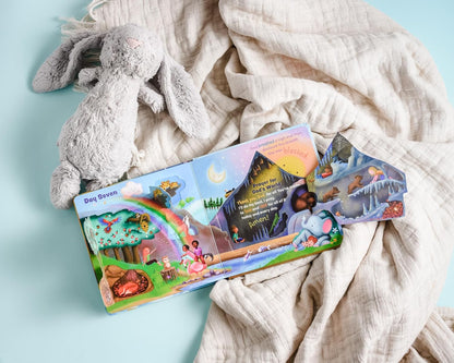 See What God Made! - A Creation Story Lift-the-Flap Book