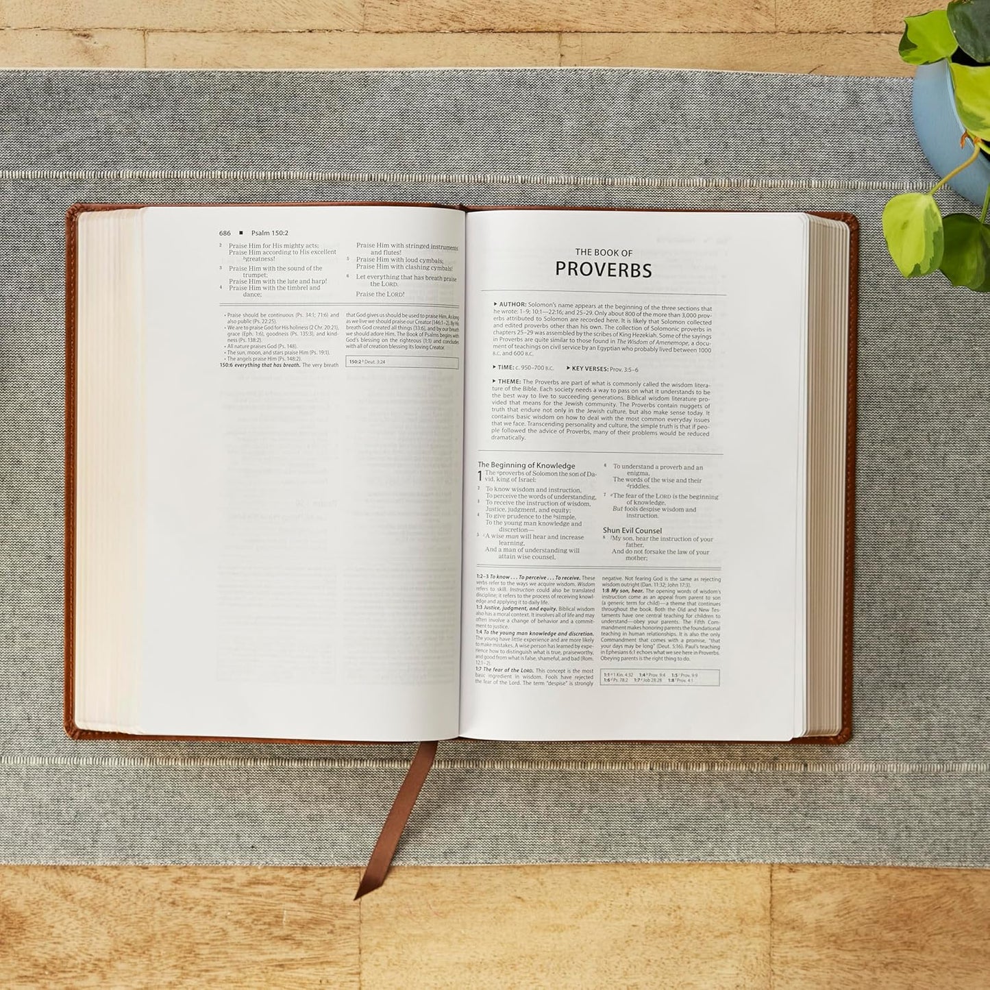 NKJV Foundation Study Bible - Black Hardcover