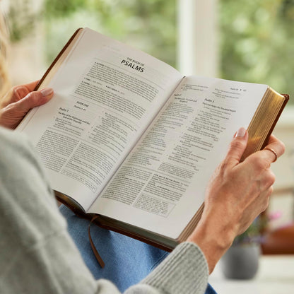 NKJV Foundation Study Bible - Brown Leathersoft
