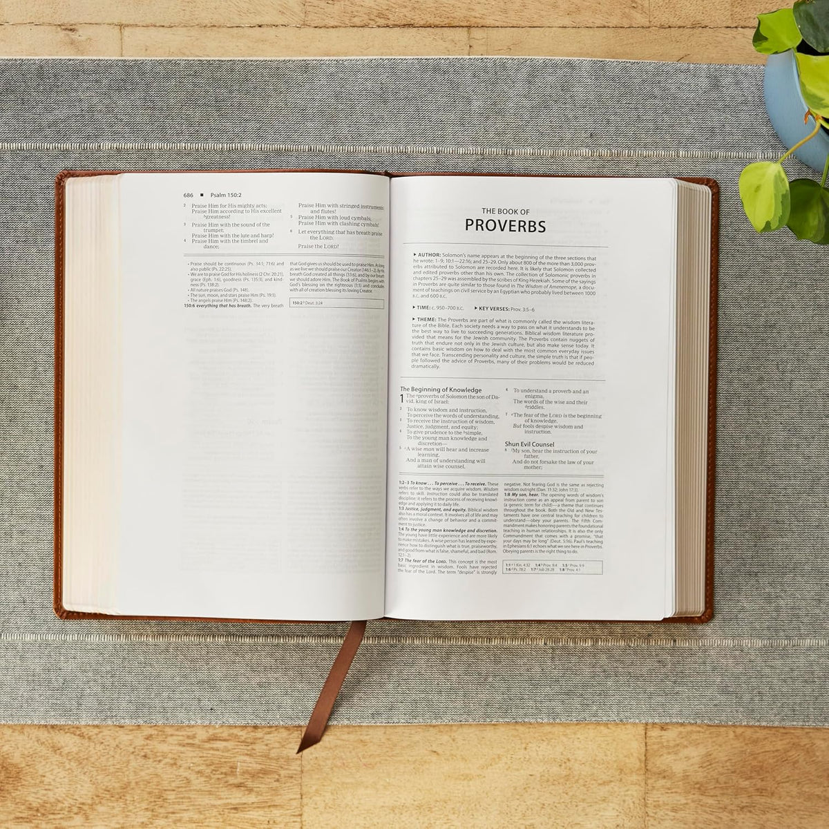 NKJV Foundation Study Bible - Brown Leathersoft