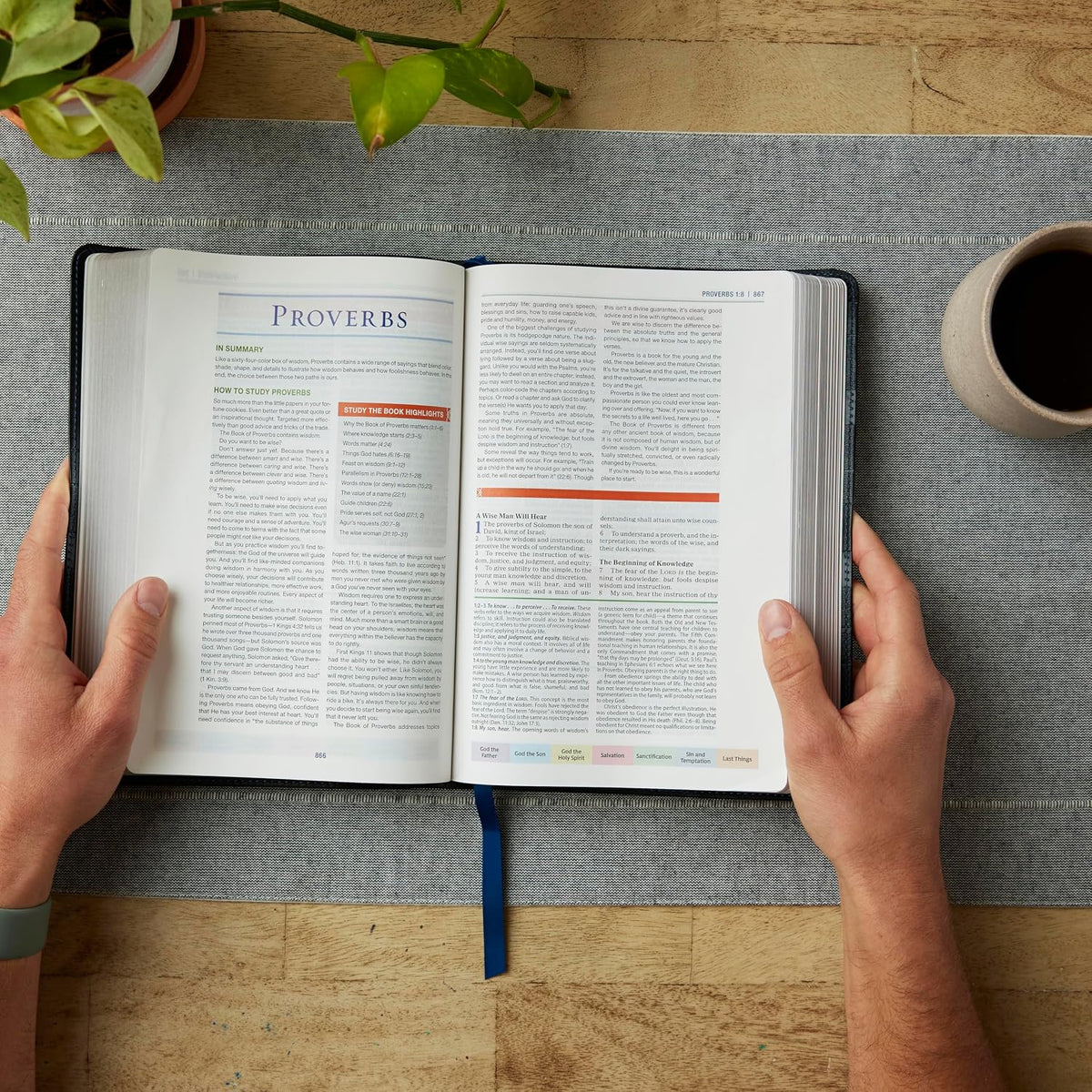 KJV Color Code Study Bible - Black Leathersoft