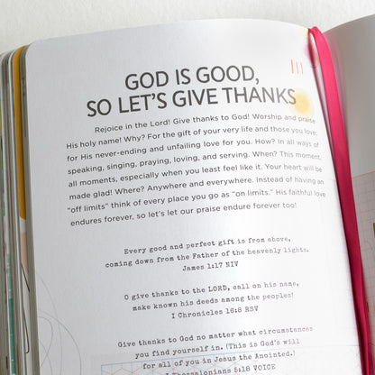 100 Days Of Bible Promises - A Devotional Journal