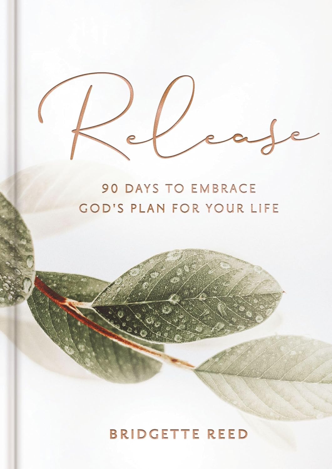 Release: 90 Days to Embrace God's Plans for Your Life