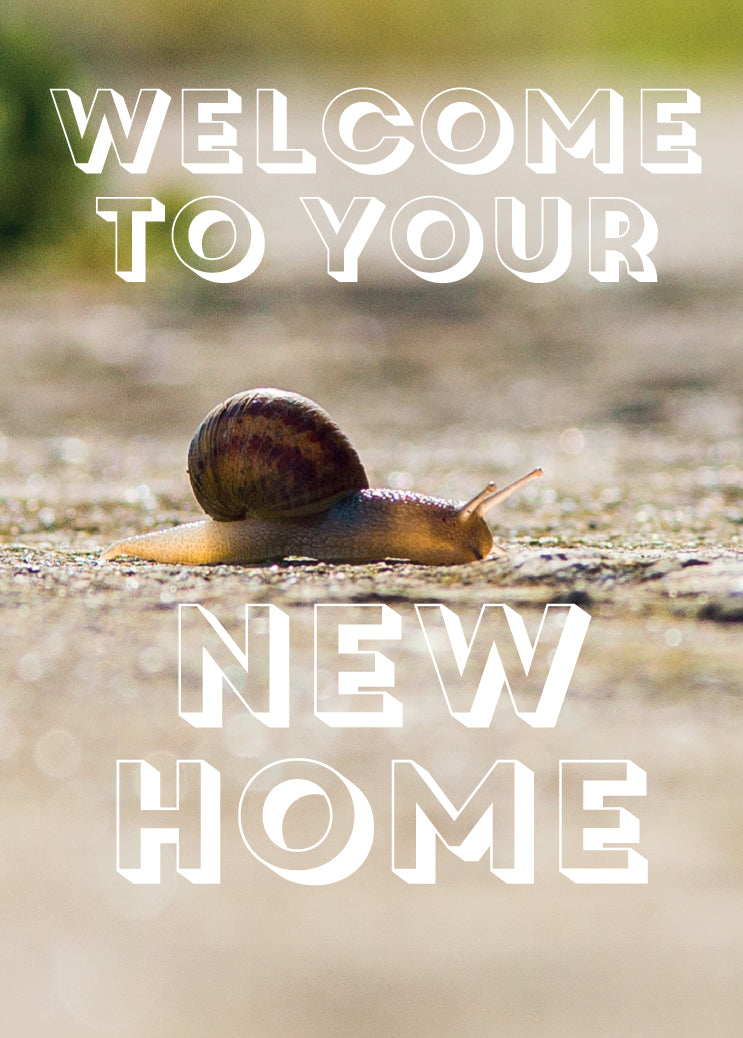 New Home Card - Creeping Snail - The Christian Gift Company