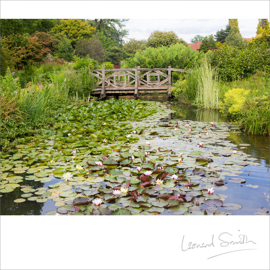 Blank Card - RHS Wisley/Bridge - The Christian Gift Company