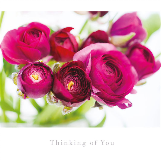 Thinking of You Card - Ranunculas - The Christian Gift Company