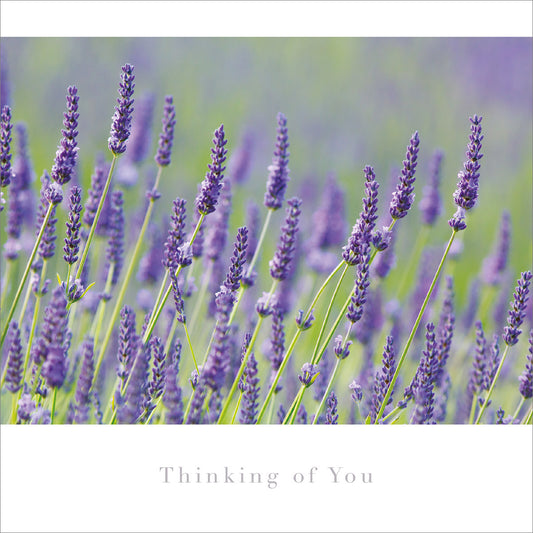 Thinking of You Card - Lavender - The Christian Gift Company