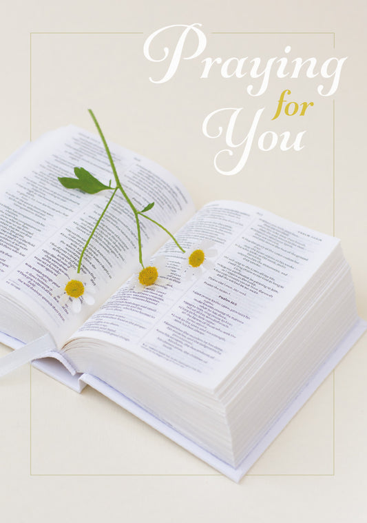 Praying For You Card - Bible with Daisies - The Christian Gift Company
