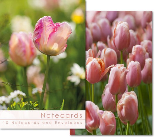 Notecard Wallet - Pink Tulips (10 cards)
