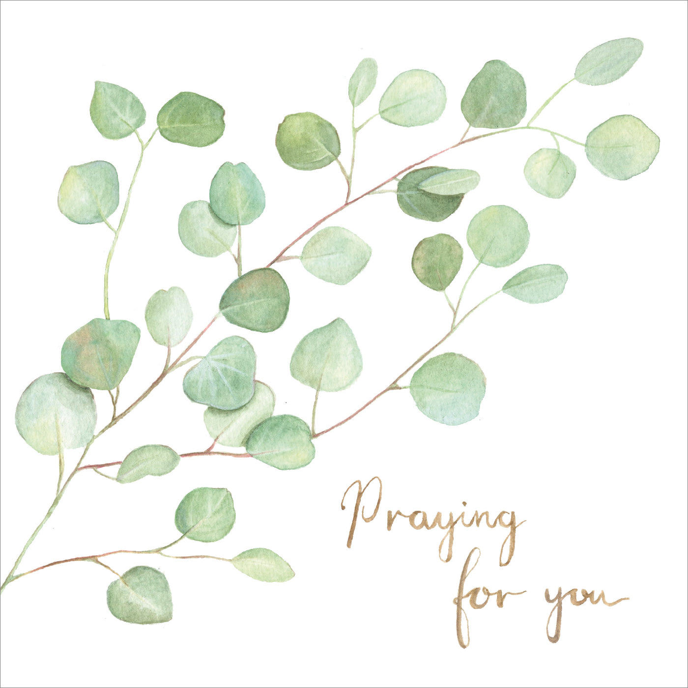 Praying For You Card - Eucalyptus