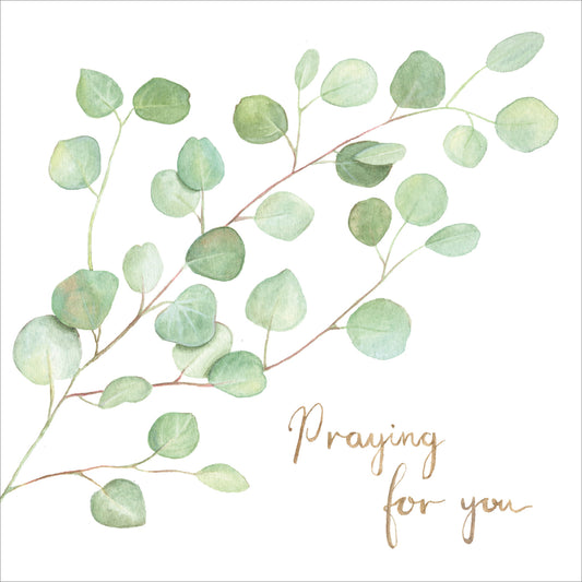 Praying For You Card - Eucalyptus