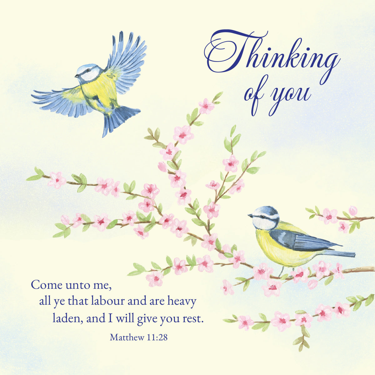 Thinking of You Card - Blue Tits