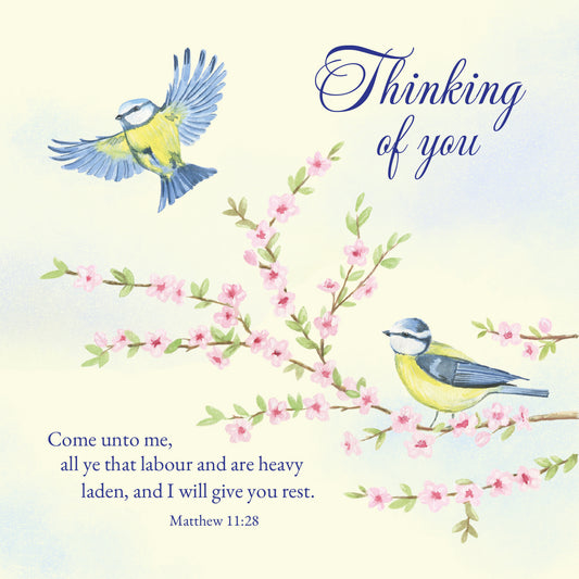 Thinking of You Card - Blue Tits