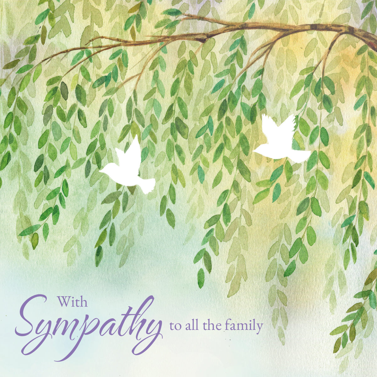 Sympathy To All The Family Card - Willow Branches