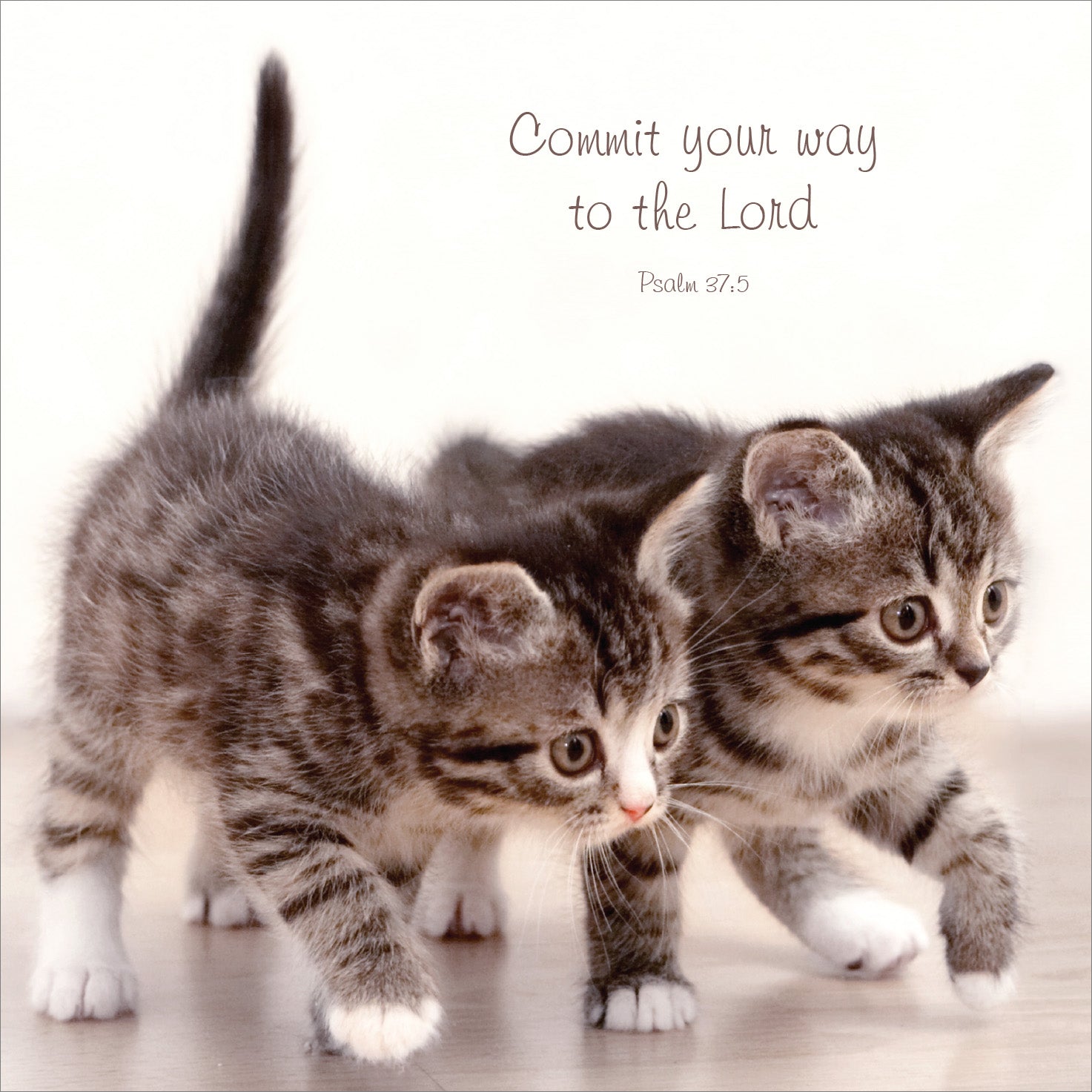 Mini Wall Plaque - Kittens: Commit your way to the Lord - The Christian Gift Company