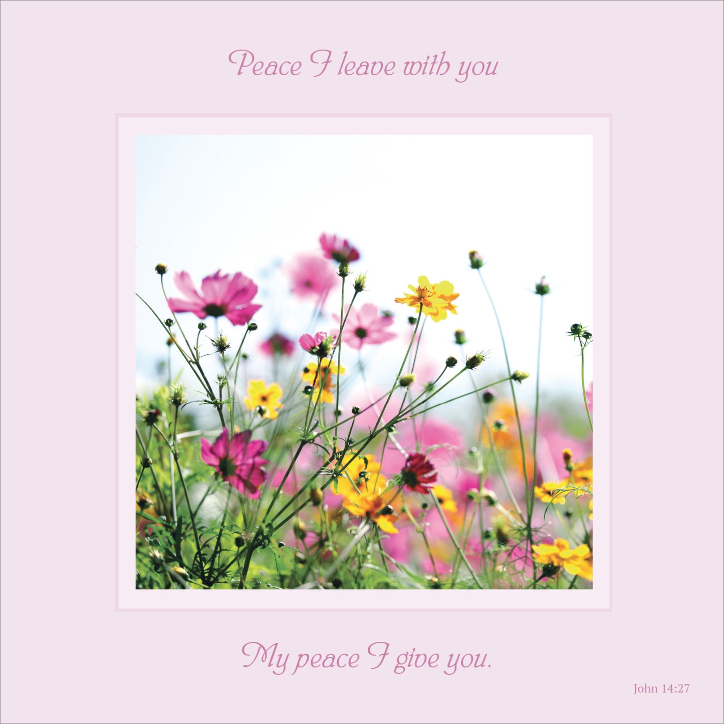 Mini Wall Plaque - Meadow: Peace I leave with you - The Christian Gift Company