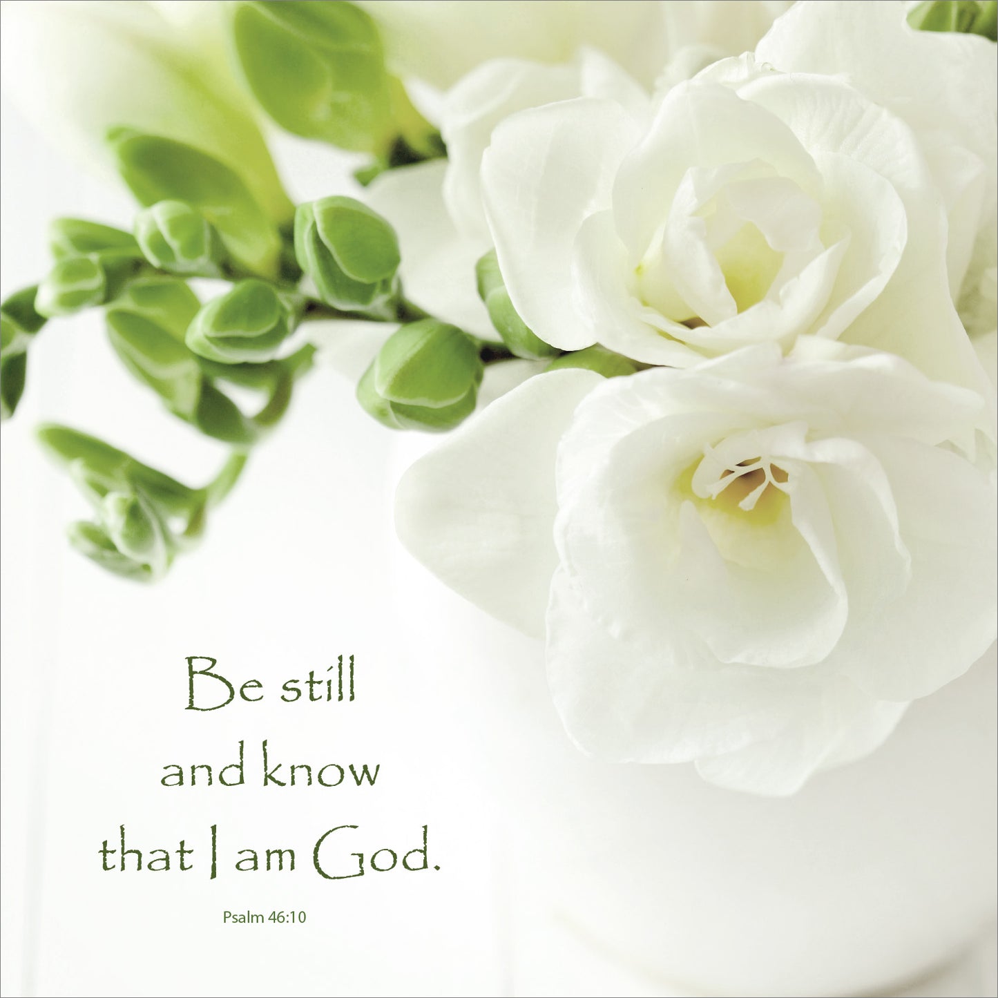 Mini Wall Plaque - White Freesias: Be Still And Know - The Christian Gift Company