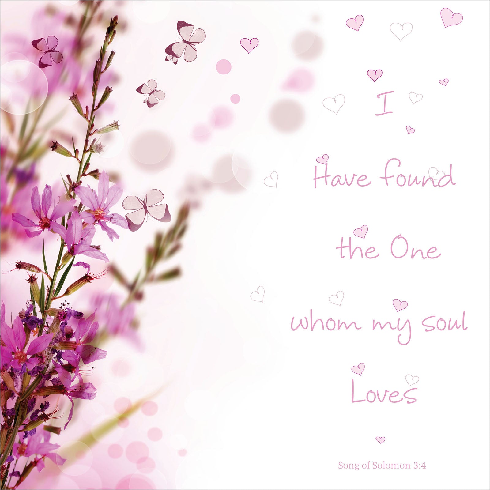 Square Wall Plaque - I have found the one - The Christian Gift Company