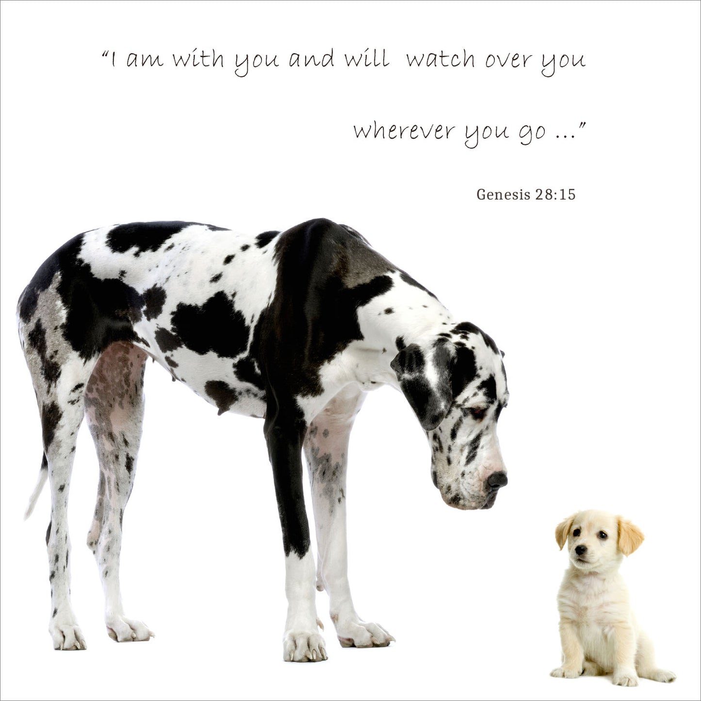 Mini Wall Plaque - Dog & Puppy: Genesis 28:15 - The Christian Gift Company