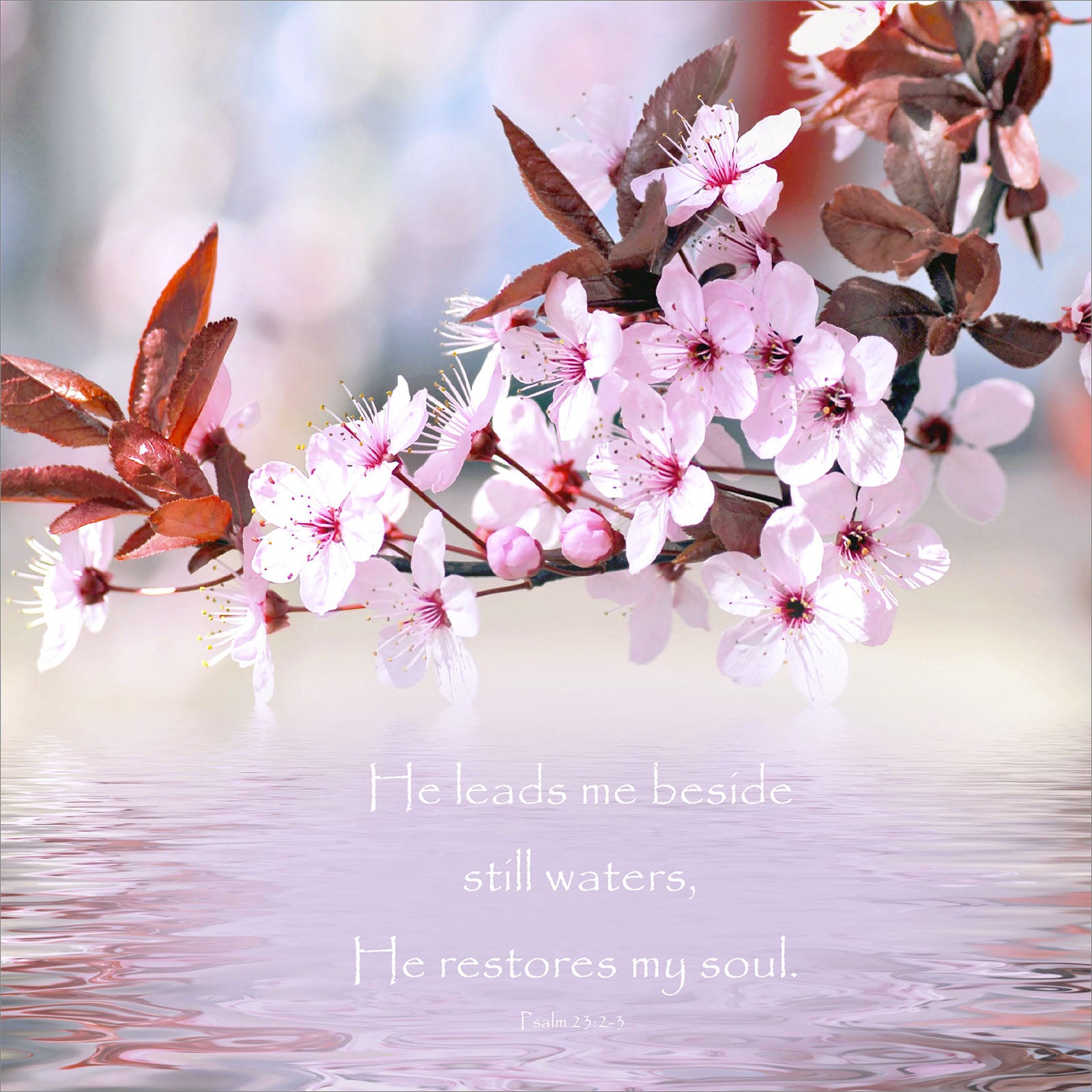 Square Wall Plaque - Blossom & Water: Psalm 23:2-3 - The Christian Gift Company