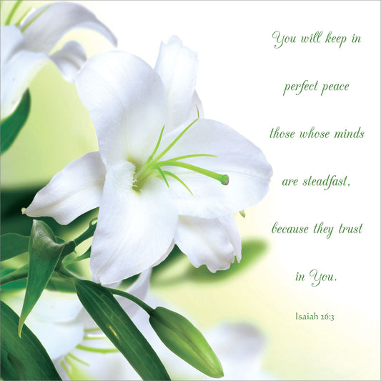 Square Wall Plaque - White Lily: Isaiah 26:3 - The Christian Gift Company