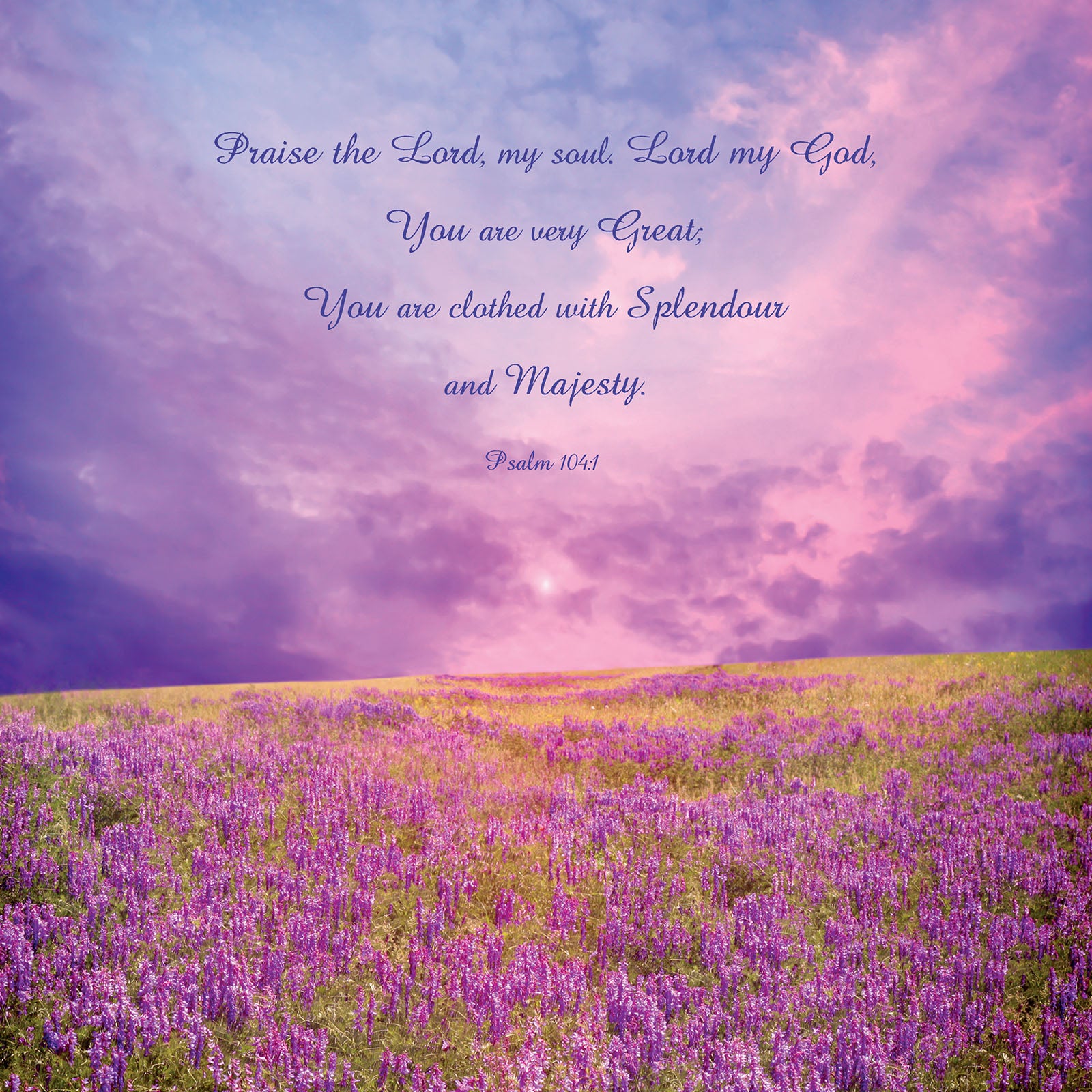 Square Wall Plaque - Lavender Field: Psalm 104:1 - The Christian Gift Company