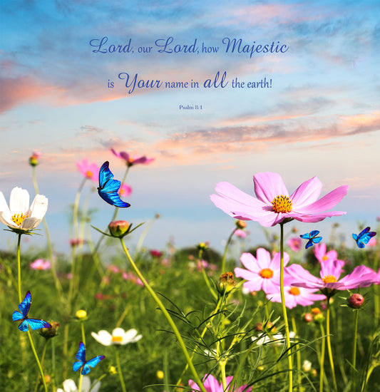 Square Wall Plaque - Flowers & Butterflies: Psalm 8:1 - The Christian Gift Company
