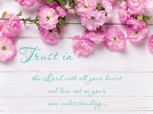 Wall Plaque - Pink Flowers: Proverbs 3:5 - The Christian Gift Company
