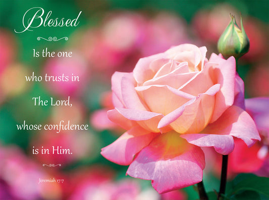 Wall Plaque - Pink Rose: Jeremiah 17:7 - The Christian Gift Company