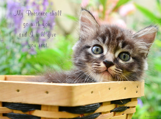 Wall Plaque - Cat in Basket: Exodus 33:14 - The Christian Gift Company
