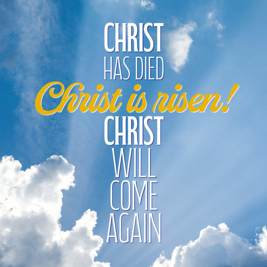 Compassion Charity Easter Cards - Christ Is Risen! (pack of 5) - The Christian Gift Company