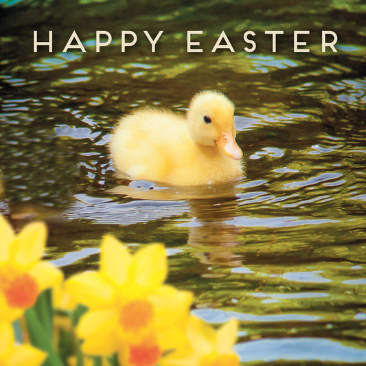 Easter Card - Duckling (pack of 5) - The Christian Gift Company