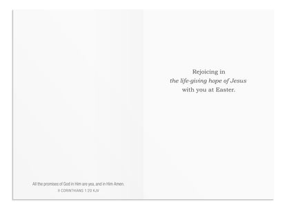 Easter - Sunrise of God's Grace - 12 Boxed Cards (KJV) - The Christian Gift Company
