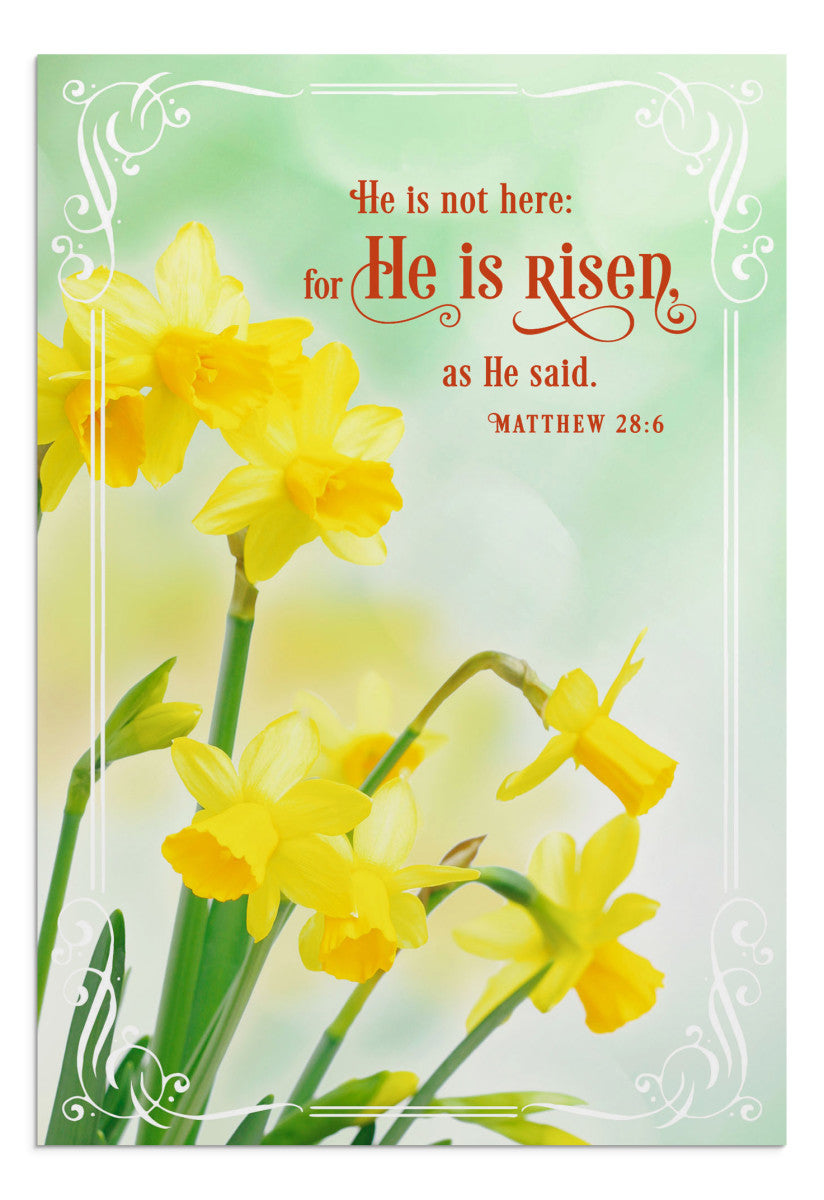 Easter - Springtime Inspired Assortment - 12 Boxed Cards - The Christian Gift Company