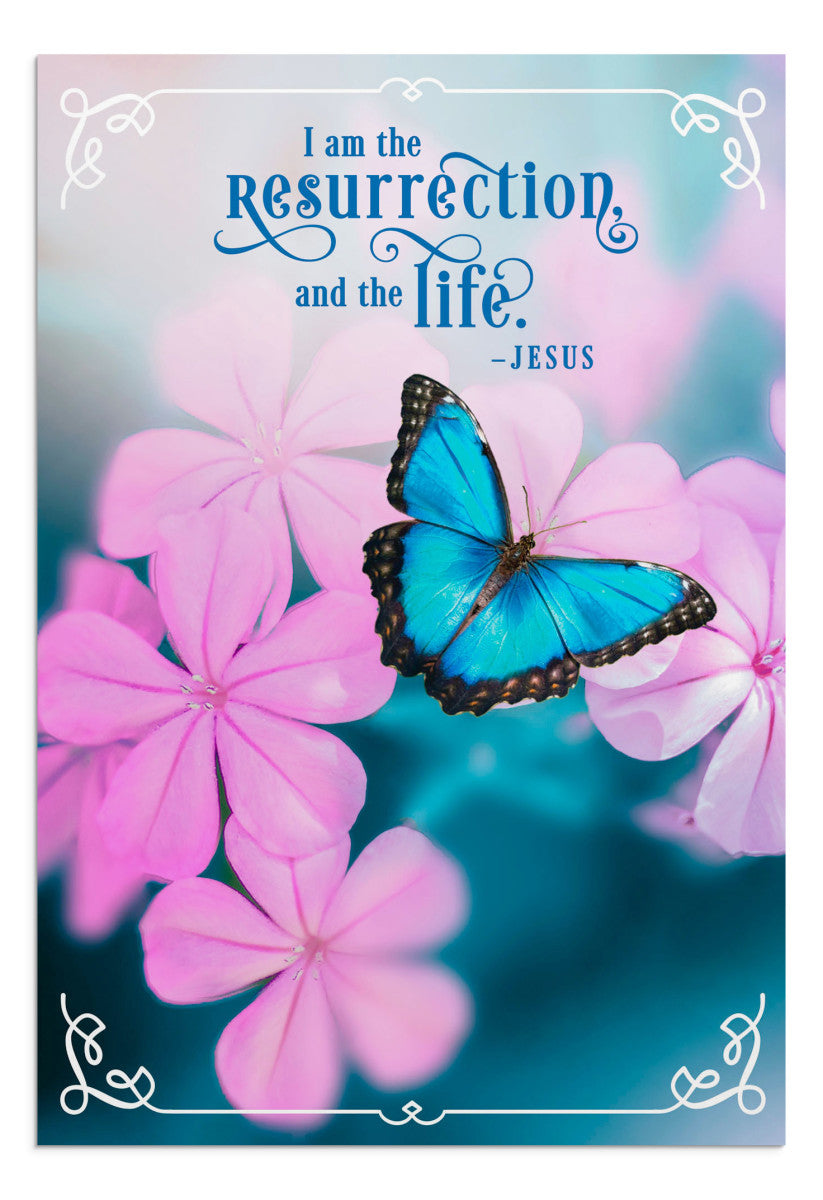 Easter - Springtime Inspired Assortment - 12 Boxed Cards - The Christian Gift Company