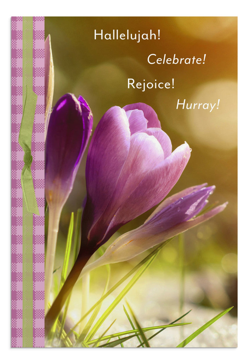 Easter Assortment - 24 Boxed Cards - The Christian Gift Company