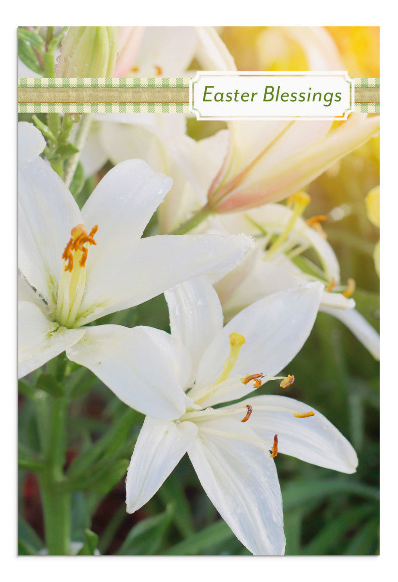 Easter Assortment - 24 Boxed Cards - The Christian Gift Company