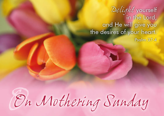 Mothering Sunday Postcards - Tulips (pack of 24) - The Christian Gift Company
