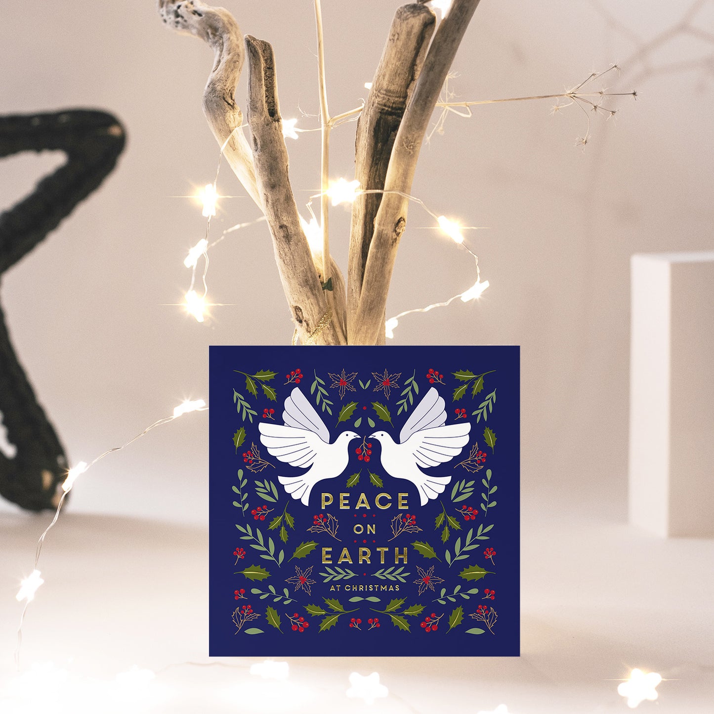 Compassion Christmas Card: Peace Doves (pack of 10) - The Christian Gift Company