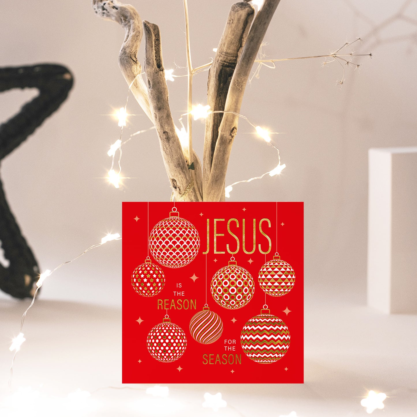 Compassion Christmas Card: Jesus/Reason (pack of 10) - The Christian Gift Company