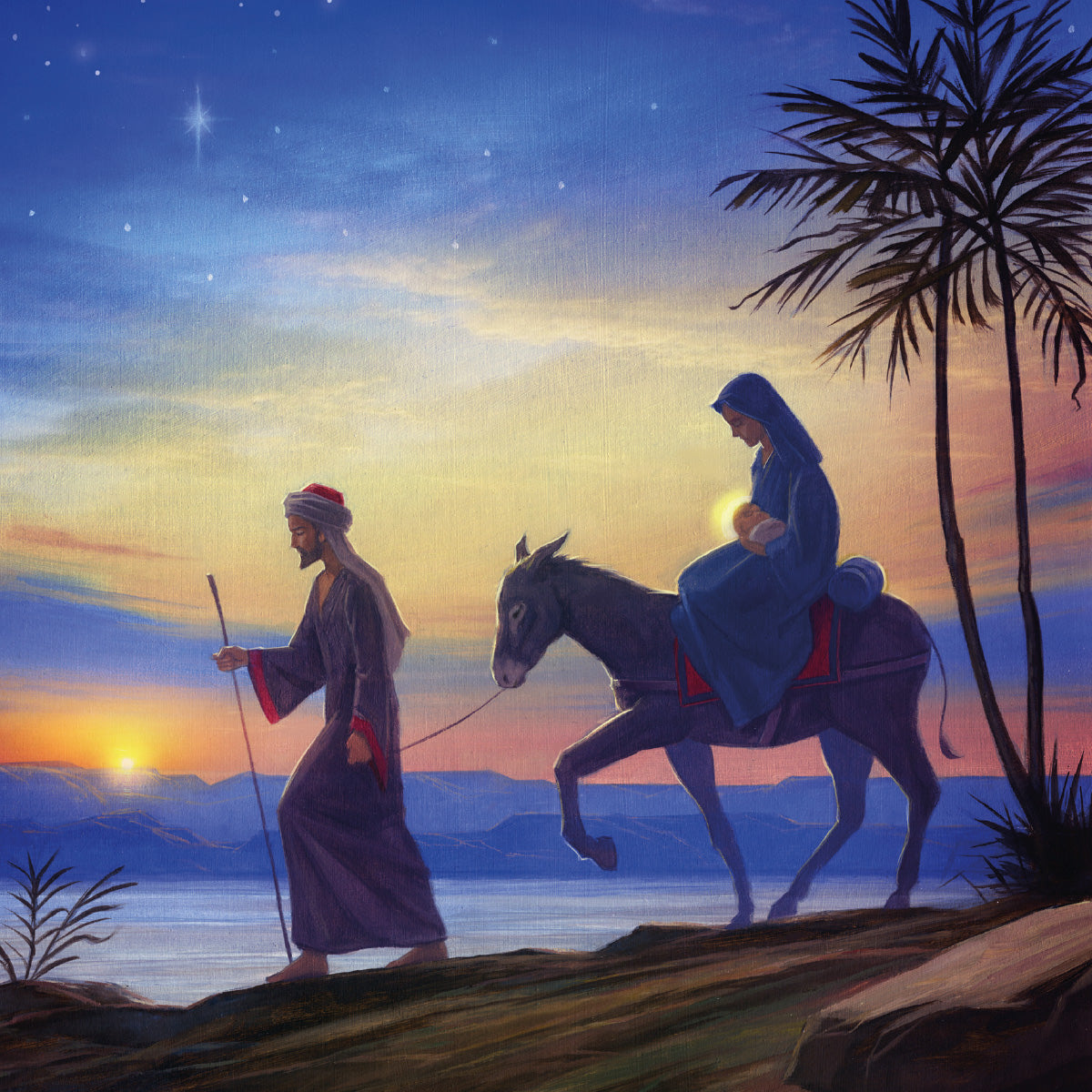 Compassion Christmas Card: Flight/Egypt (pack of 10) - The Christian Gift Company