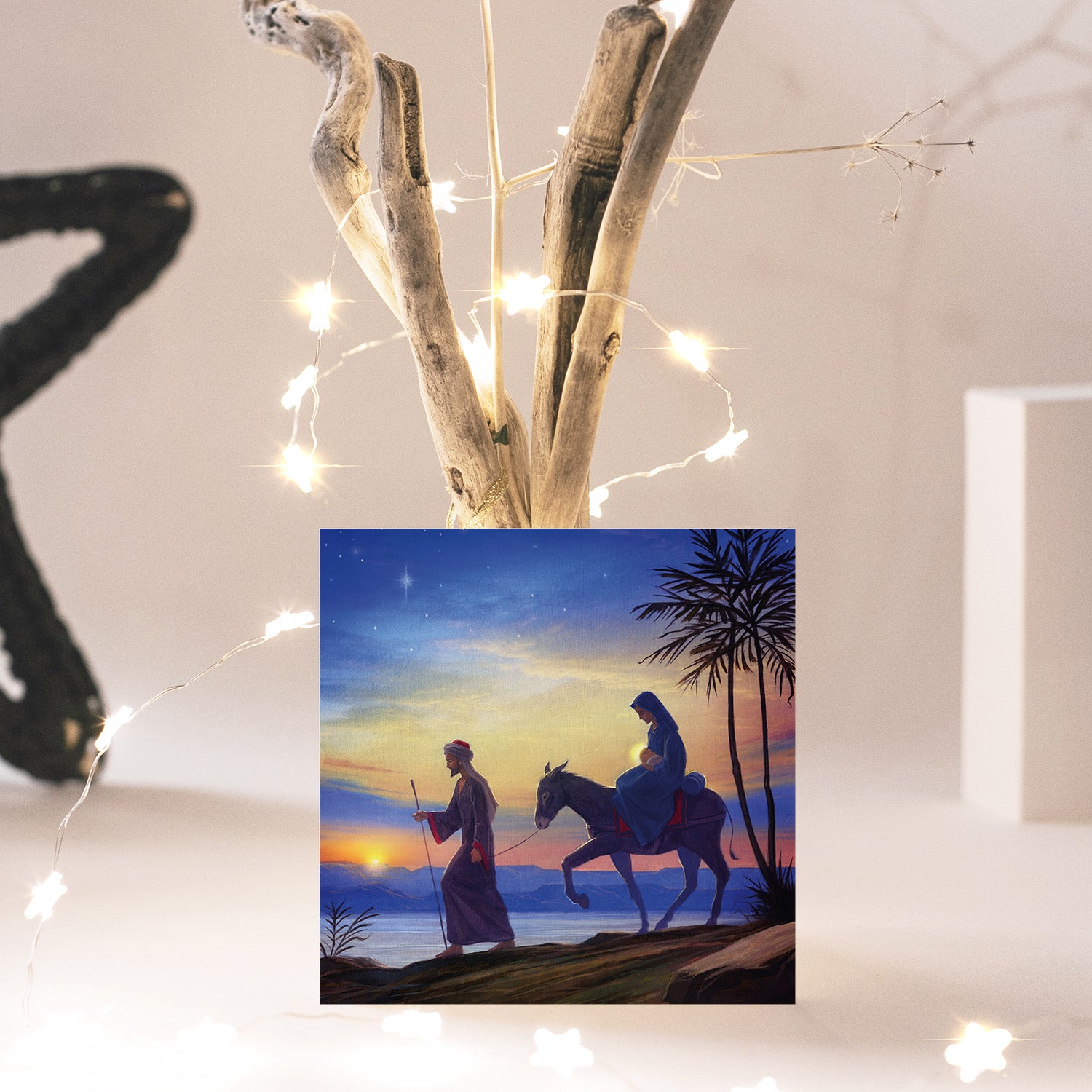 Compassion Christmas Card: Flight/Egypt (pack of 10) - The Christian Gift Company