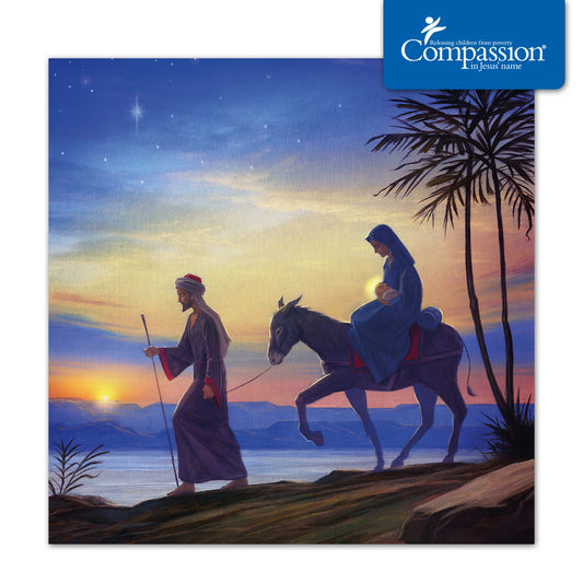 Compassion Christmas Card: Flight/Egypt (pack of 10) - The Christian Gift Company