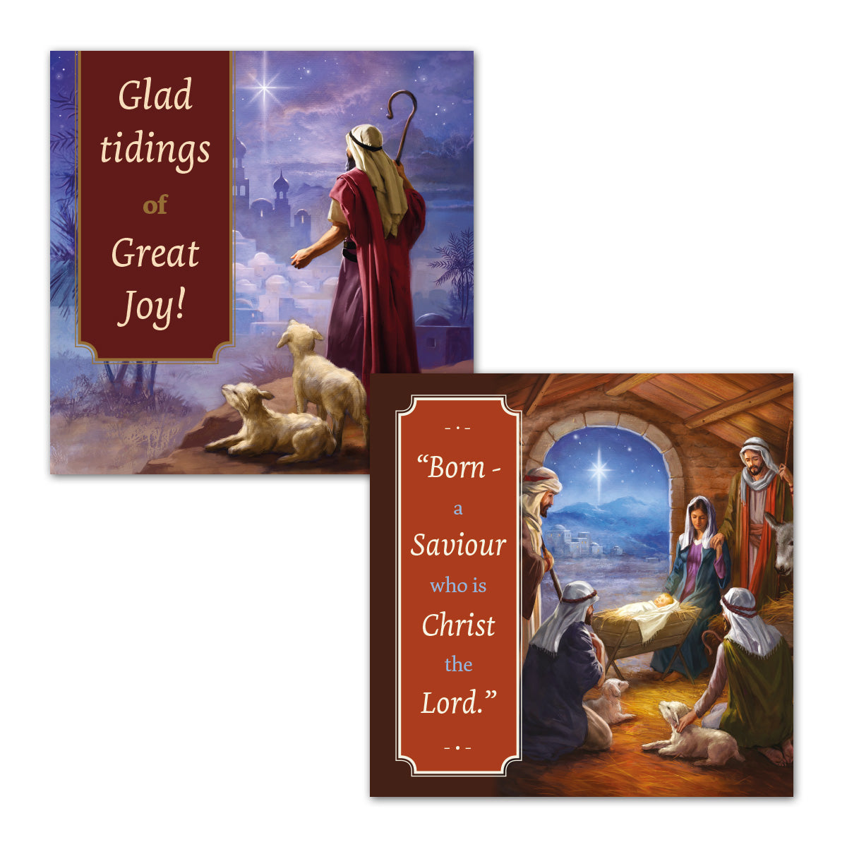 Compassion Christmas Cards: Traditional (pack of 16) - The Christian Gift Company