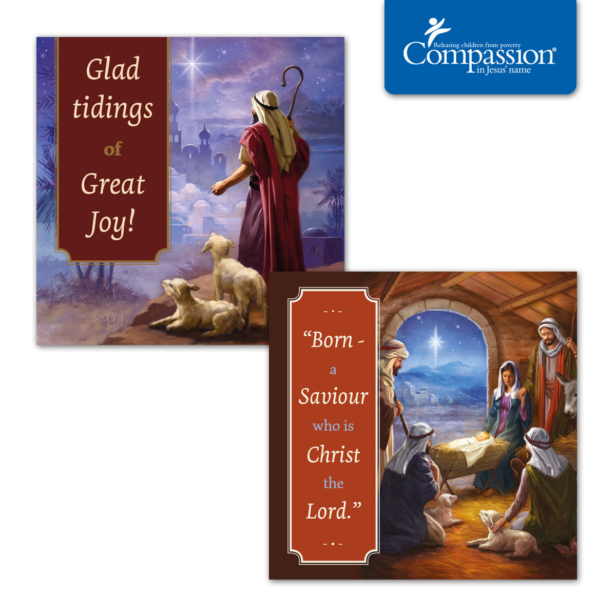 Compassion Christmas Cards: Traditional (pack of 16) - The Christian Gift Company