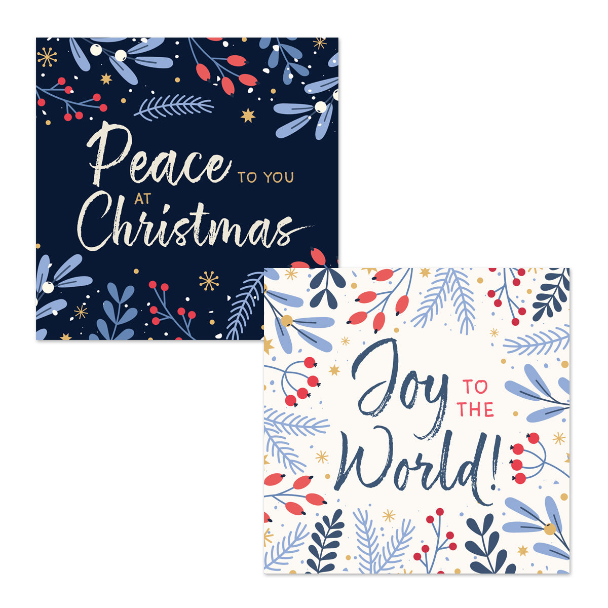 Compassion Christmas Cards: Peace and Joy (pack of 16)